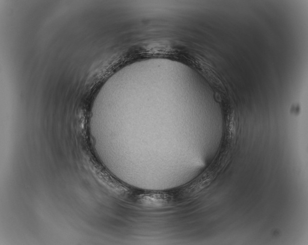 X0000115410567200911171402