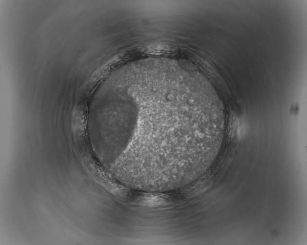 X0000115410569200911171402