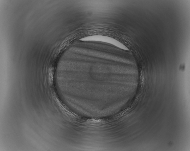 X0000115410570200911171402