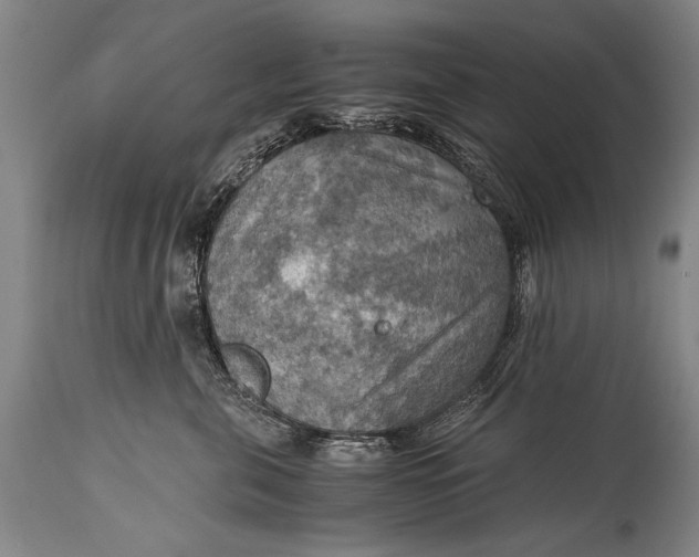 X0000115410571200911171402