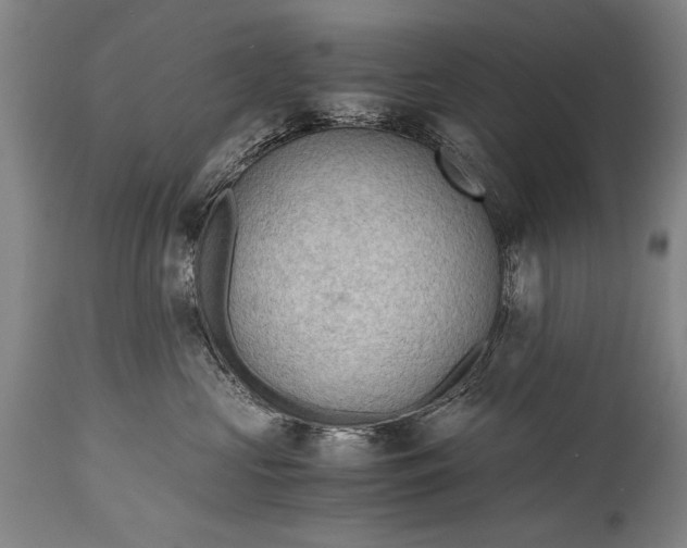 X0000115410573200911171402
