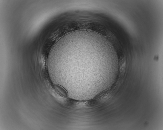 X0000115410574200911171402