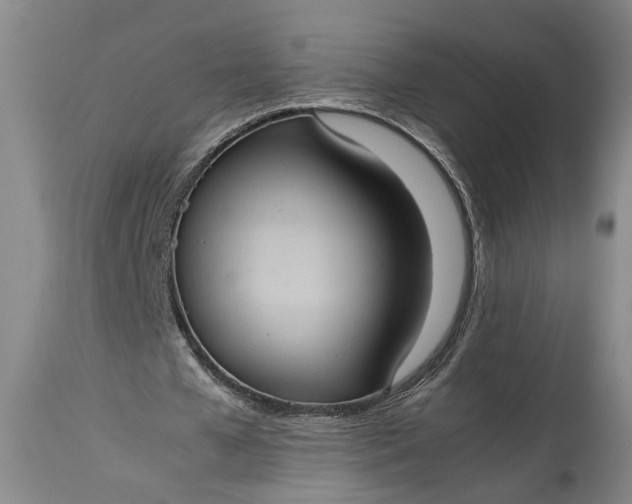 X0000115410577200911171402