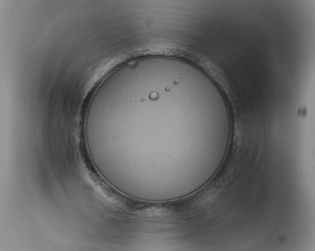X0000115410578200911171402