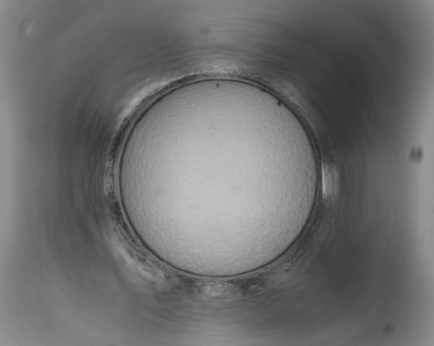 X0000115410579200911171402