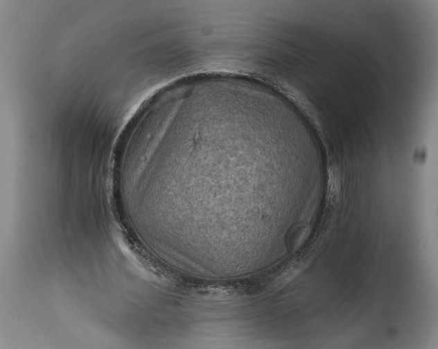 X0000115410580200911171402