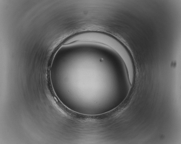 X0000115410581200911171402