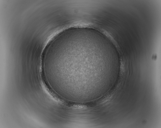 X0000115410582200911171402