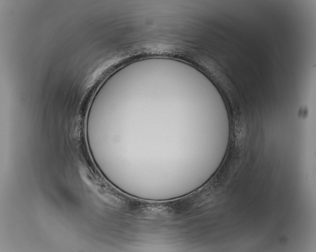 X0000115410583200911171402
