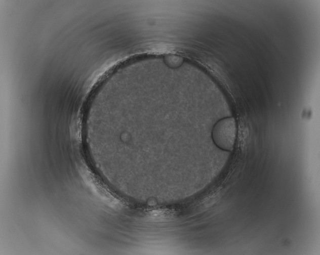 X0000115410584200911171402