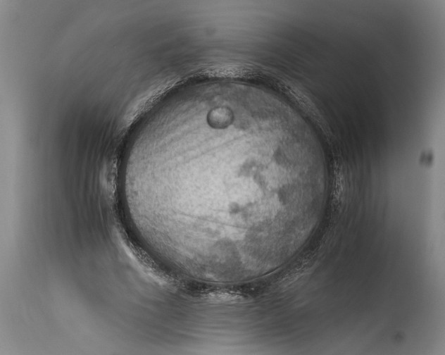 X0000115410586200911171402