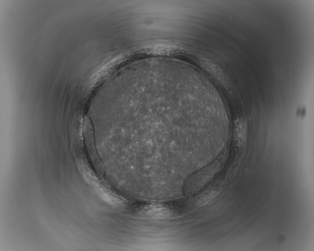 X0000115410589200911171401