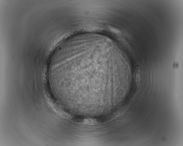 X0000115410591200911171401