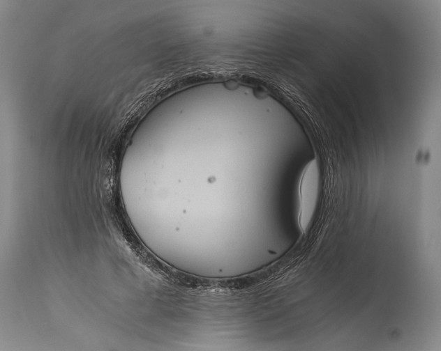 X0000115410593200911171401