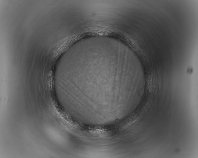 X0000115410594200911171401