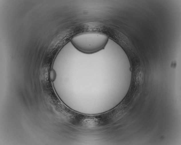X0000115410595200911171401