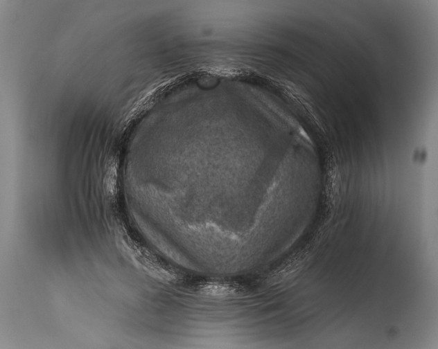 X0000115410596200911171401