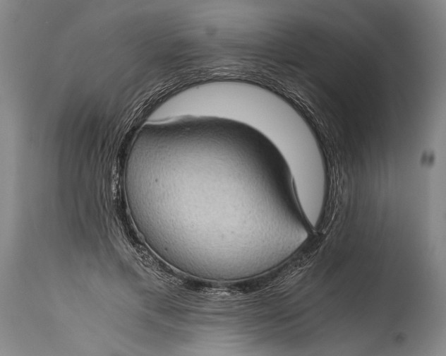 X0000115410597200911171401