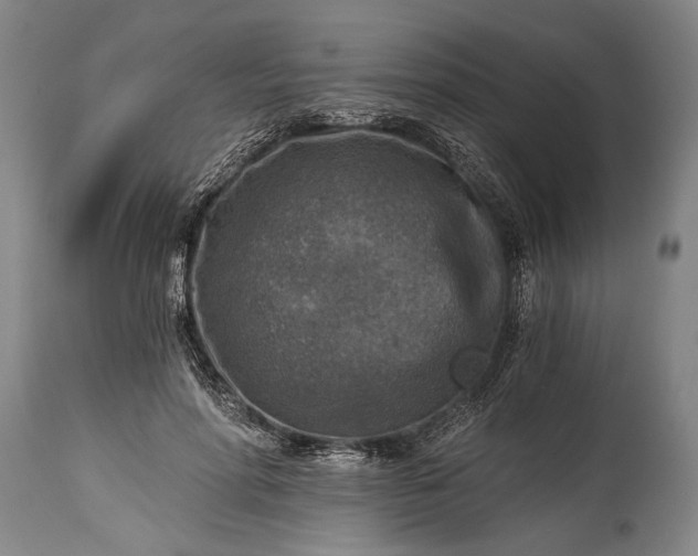 X0000115410598200911171401