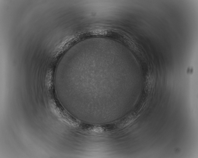 X0000115410600200911171401