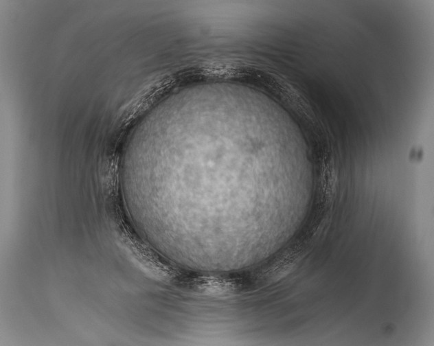 X0000115410601200911171401
