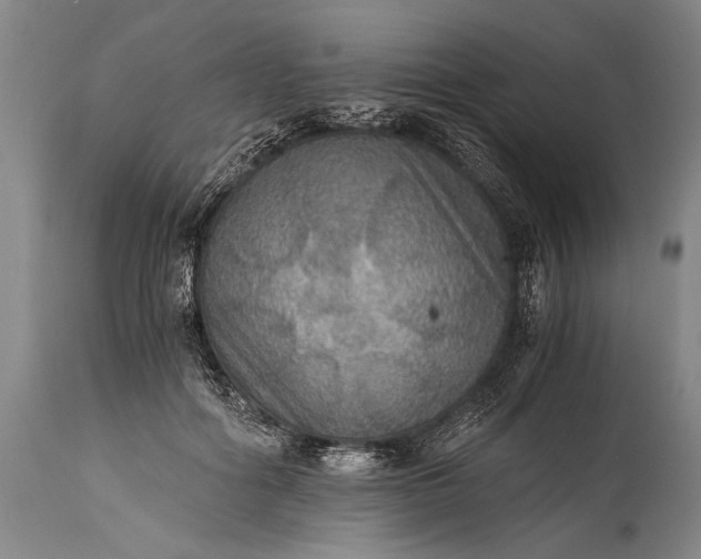 X0000115410602200911171401