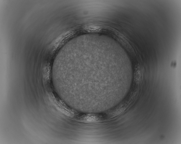 X0000115410604200911171401