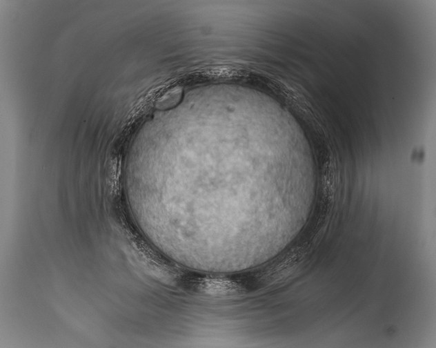 X0000115410605200911171401