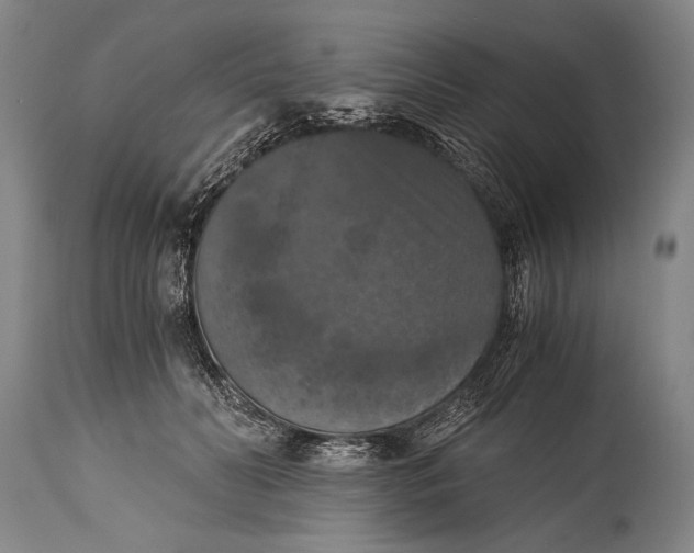 X0000115410606200911171401