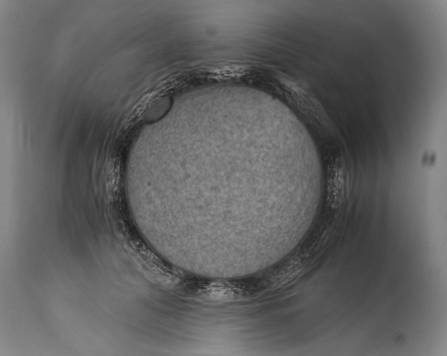 X0000115410608200911171401