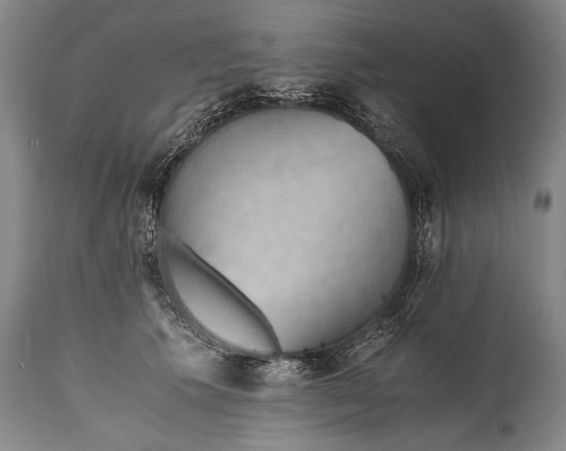 X0000115410609200911171401