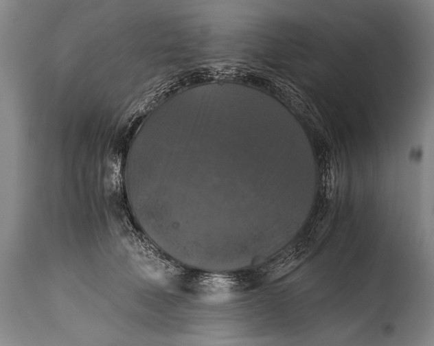 X0000115410610200911171401
