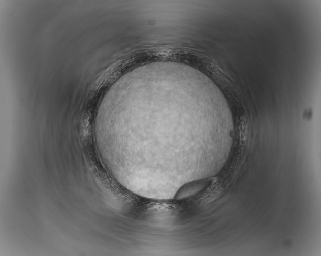 X0000115410611200911171401