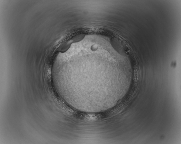 X0000115410613200911171401