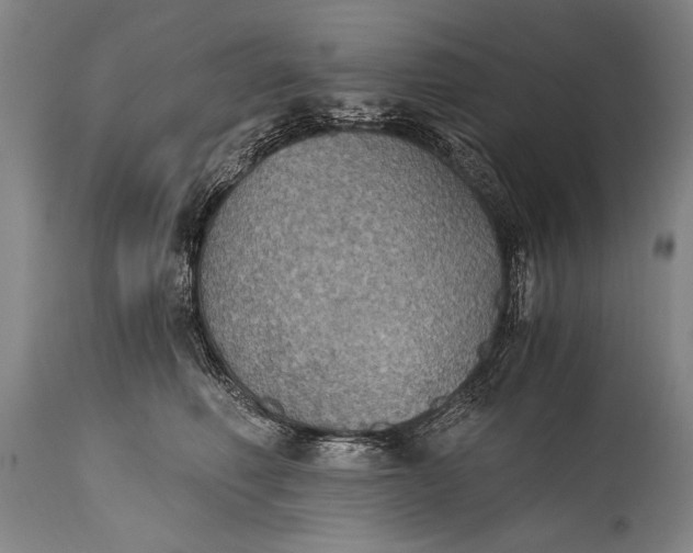 X0000115410614200911171401