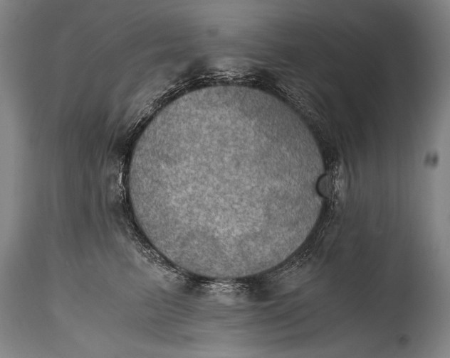 X0000115410615200911171401