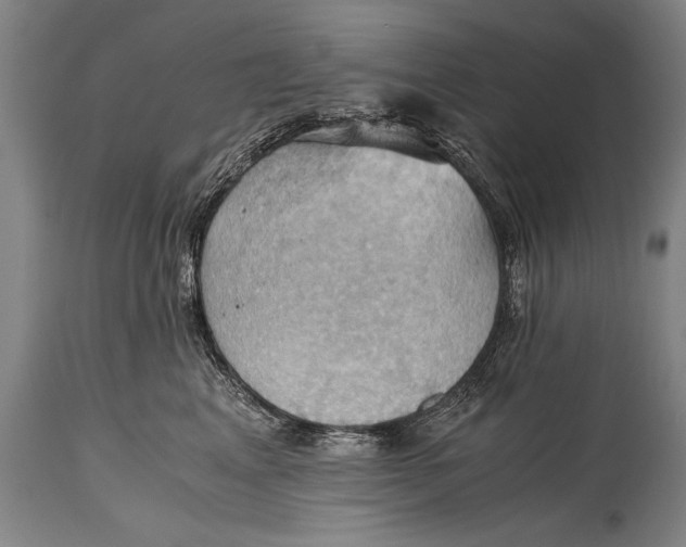 X0000115410617200911171401