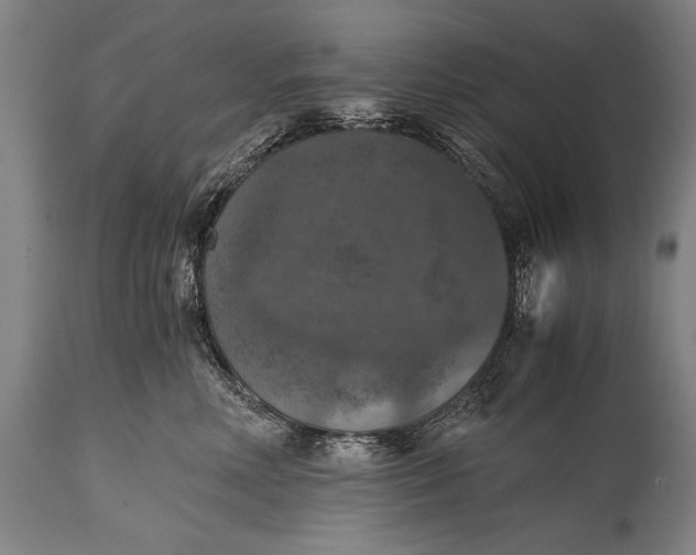 X0000115410618200911171401