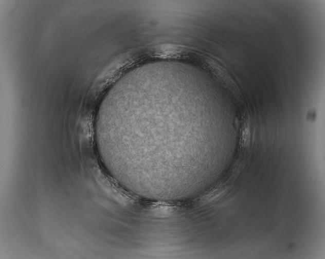 X0000115410620200911171401