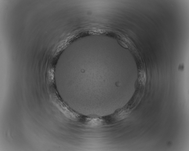 X0000115410621200911171401