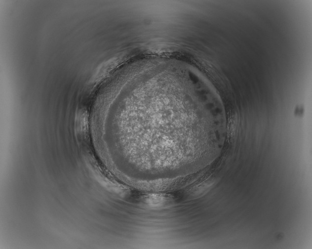 X0000115410623200911171401