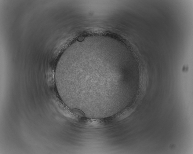 X0000115410624200911171401
