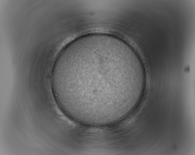 X0000115410625200911171400
