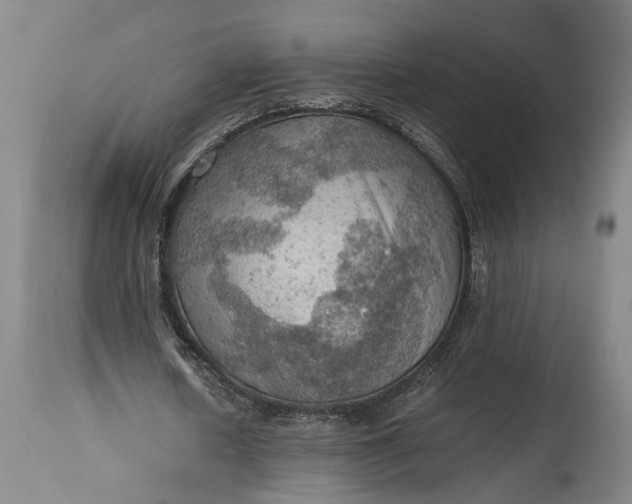 X0000115410626200911171400