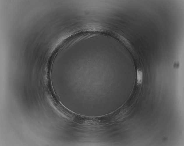 X0000115410627200911171400