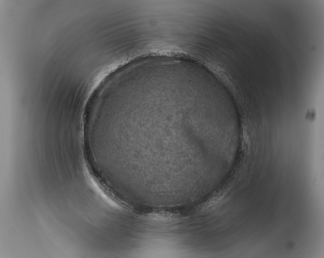 X0000115410630200911171400