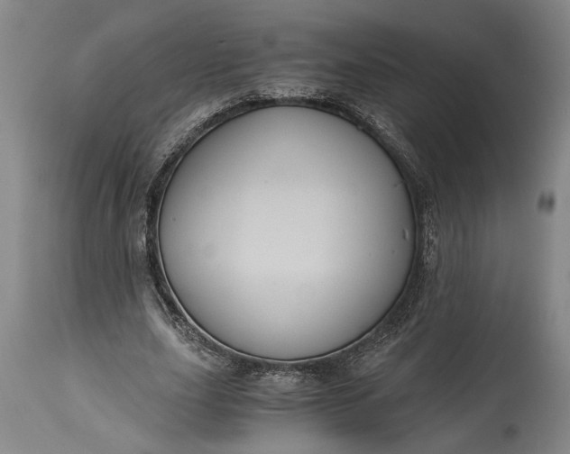 X0000115410631200911171400
