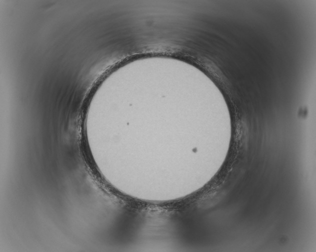 X0000115410632200911171400