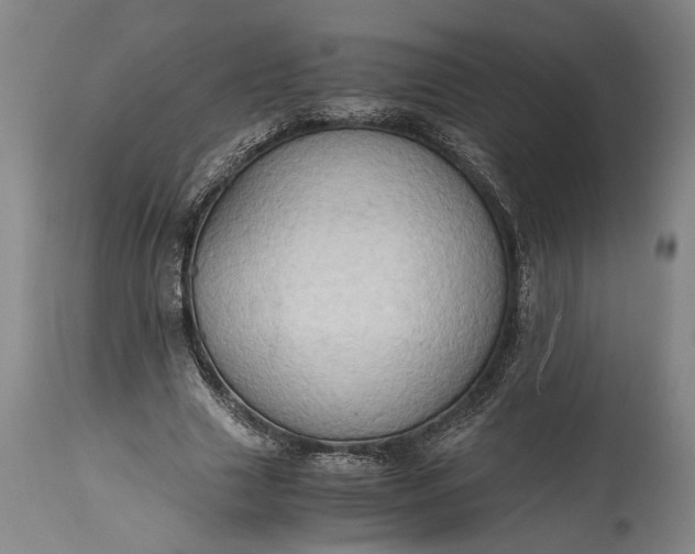 X0000115410633200911171400