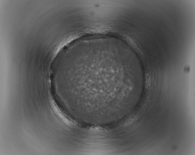 X0000115410634200911171400